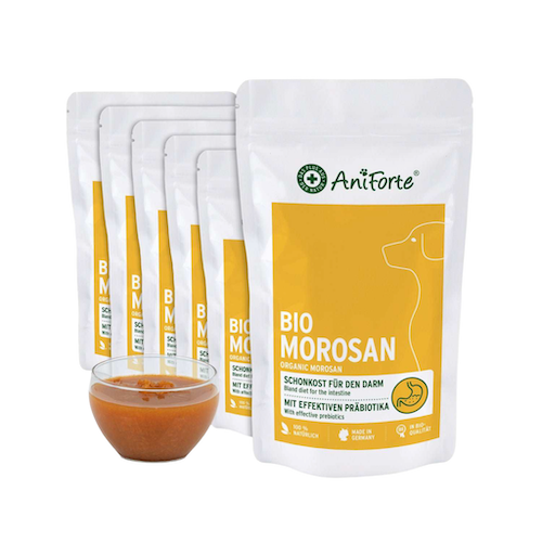 AniForte-Karottensuppe
