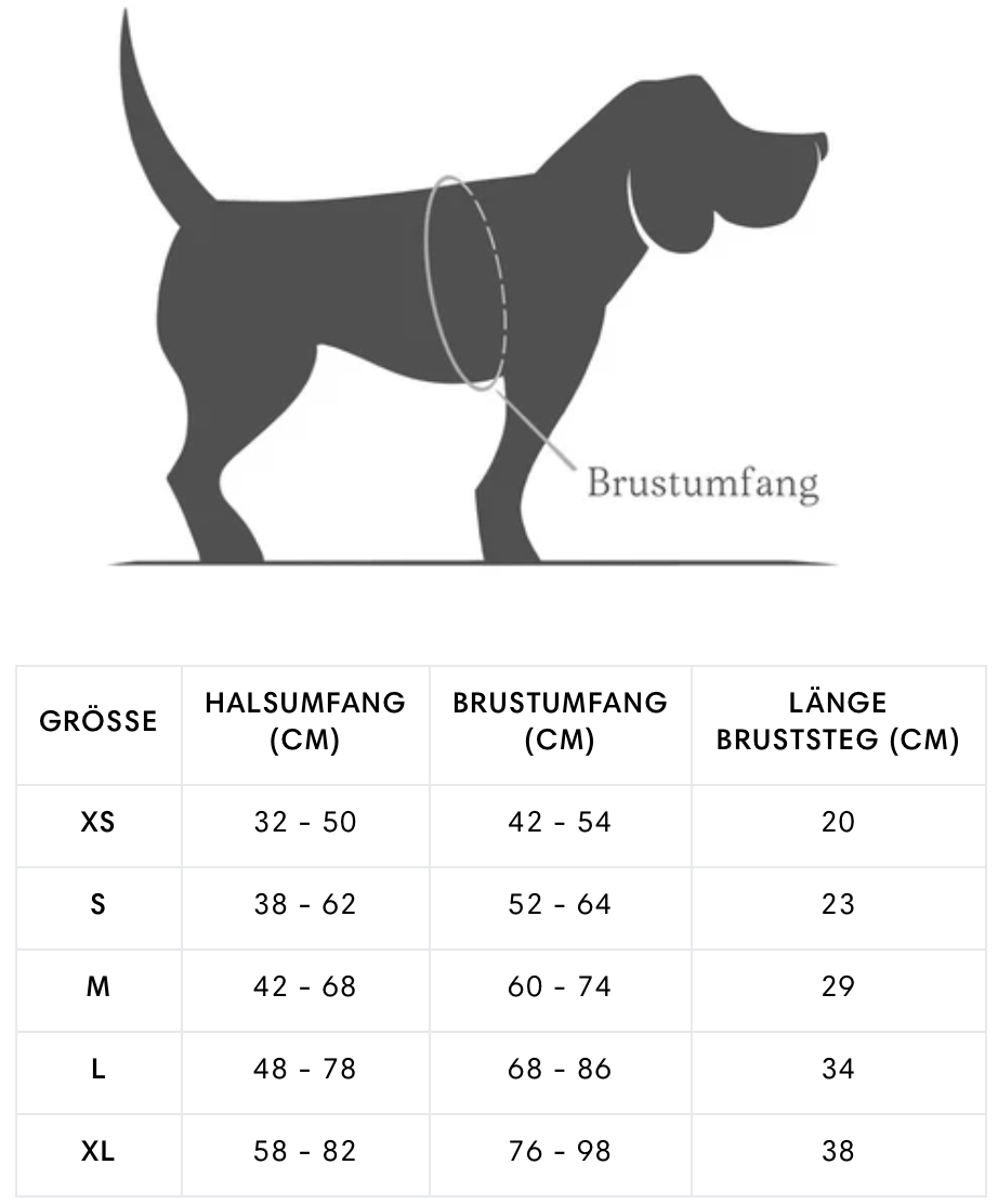 CLOUD-7-Größentabelle-Geschirr-Y-3