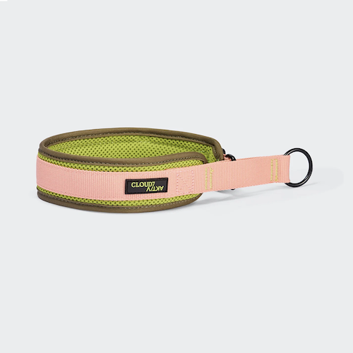 CLOUD7-C-1-Zugstopp-Halsband-Air-Mesh-AKTIV-peach
