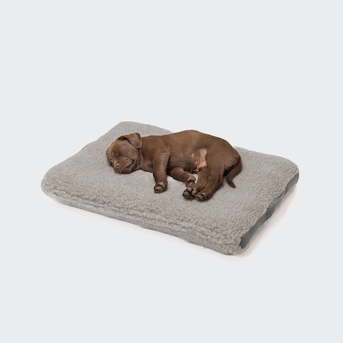 CLOUD 7 – Hundebett Siesta Teddy