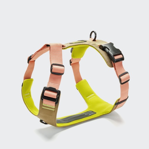 Cloud7-Dog-Harness-Y2-Aktiv-Peach-Neon-Green-on-grey