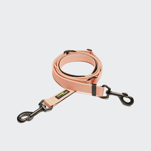 Cloud7-Hands-Free-Dog-Leash-L-1-AKTIV-Peach-L-on-grey