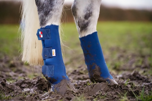 Equilibrium-Hardy-Chaps-Weidegamaschen-am-Pferdebein