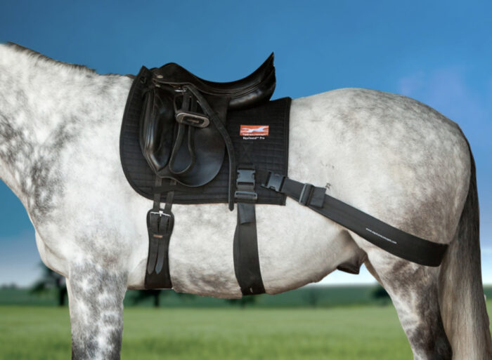 Equicore Concept - Trainingssystem