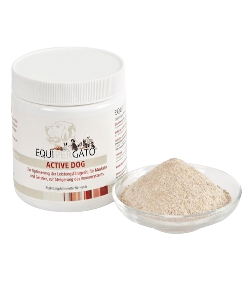 Equipergato-Active-Dog