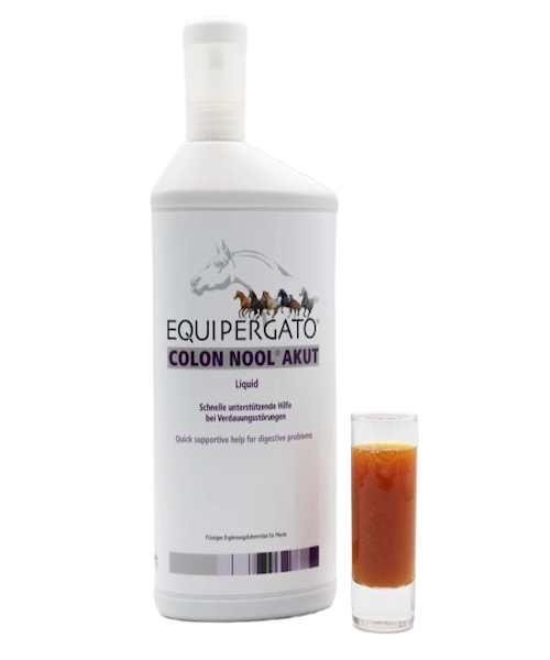 Equipergato-Colon-Nool-akut