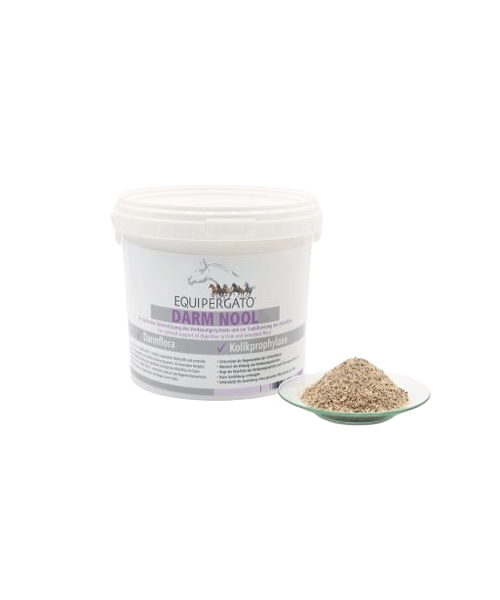 Equipergato-Darm-Nool