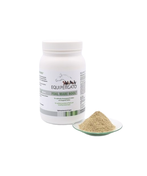 Equipergato-Foal-Mare-Nool