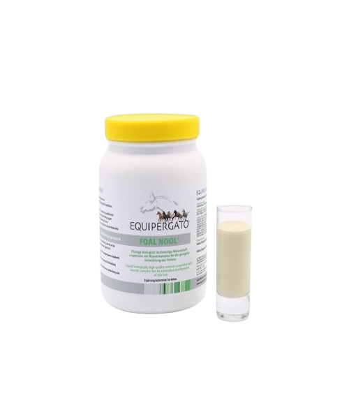 Equipergato-Foal-Nool