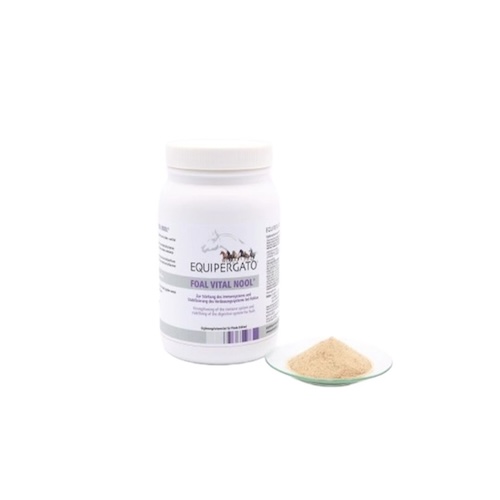 Equipergato-Foal-Vital-Nool