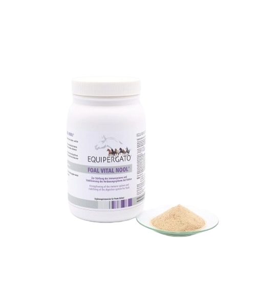 Equipergato-Foal-Vital-Nool