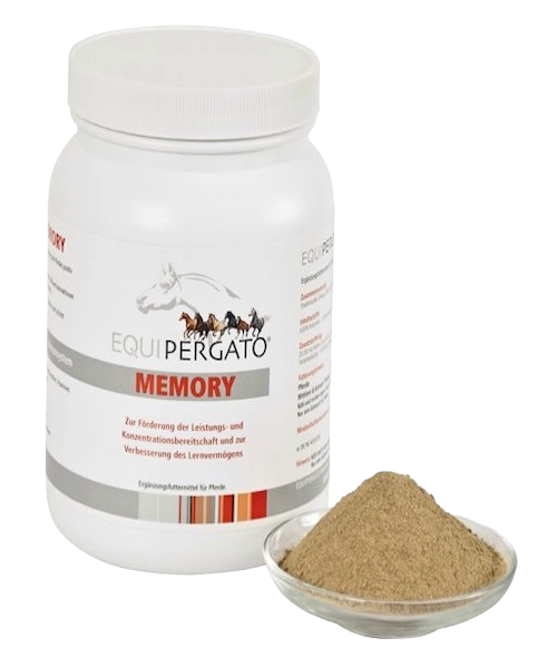 Equipergato-Memory