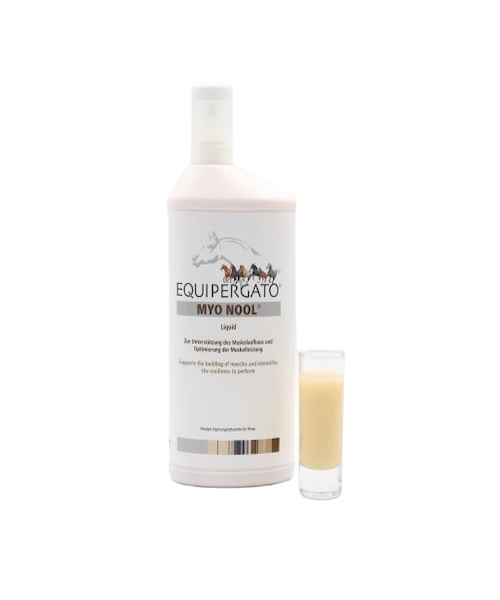 Equipergato-Myo-Nool