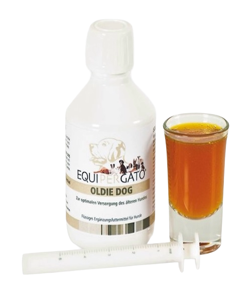 Equipergato-Oldie-Dog