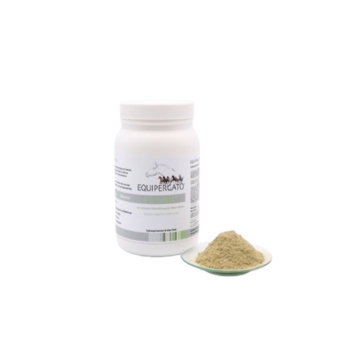 Equipergato-Oldie-Nool