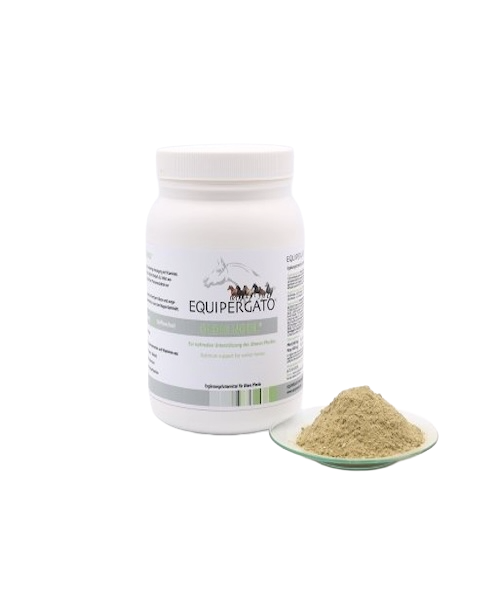 Equipergato-Oldie-Nool