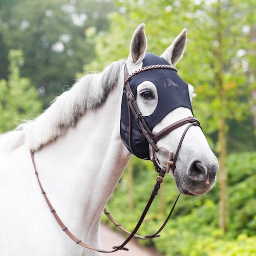 Fenwick-Equestrian-Liquid-Titanium-ohne-Ohren-Tragebild
