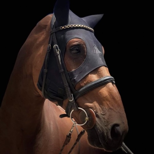 Fenwick-Liquid-Titanium-Mask-with-ears