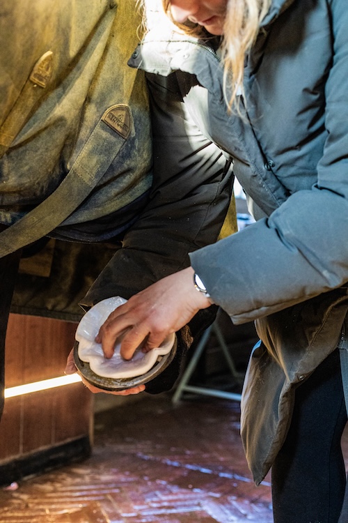 Grooming-Deluxe-EquiTex-Hufumschlag-Image