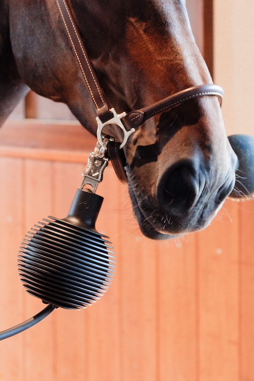 Grooming Deluxe - Gummiball Pro für Führstrick- & Wandschutz – Bild 3