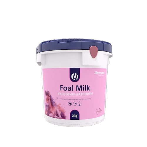 Hestevard – Fohlenmilch Pulver