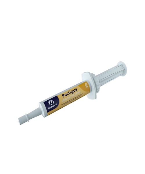 Hestevard-Pectigus-Paste-30-g