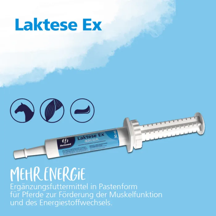 Hestevard-Laktese Ex 30ml Spritze-Information