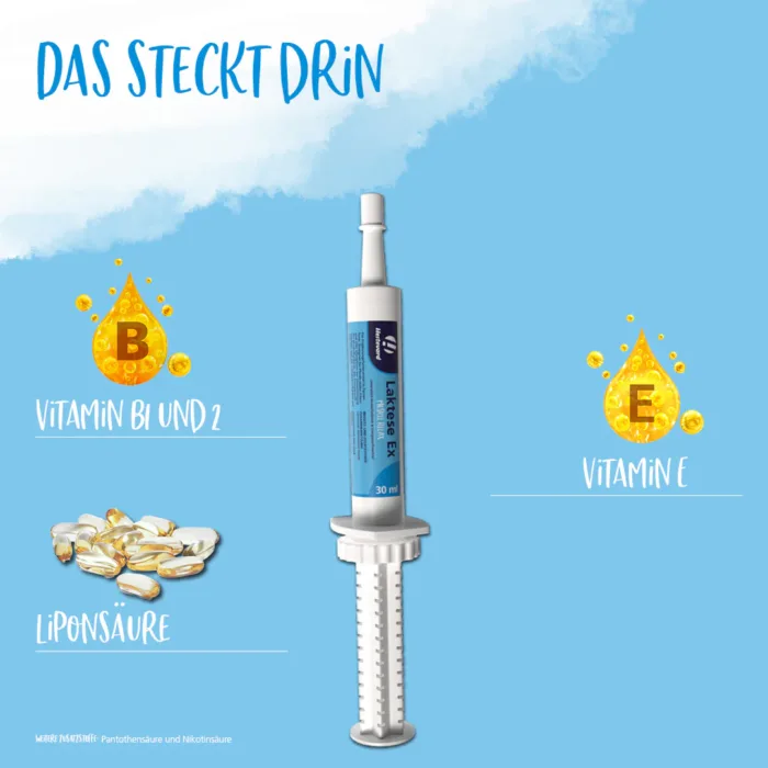 Hestevard-Laktese Ex 30ml Spritze-Inhaltsstoffe