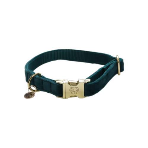 Kentucky-Dogwear-Hunde-Halsband-Velvet