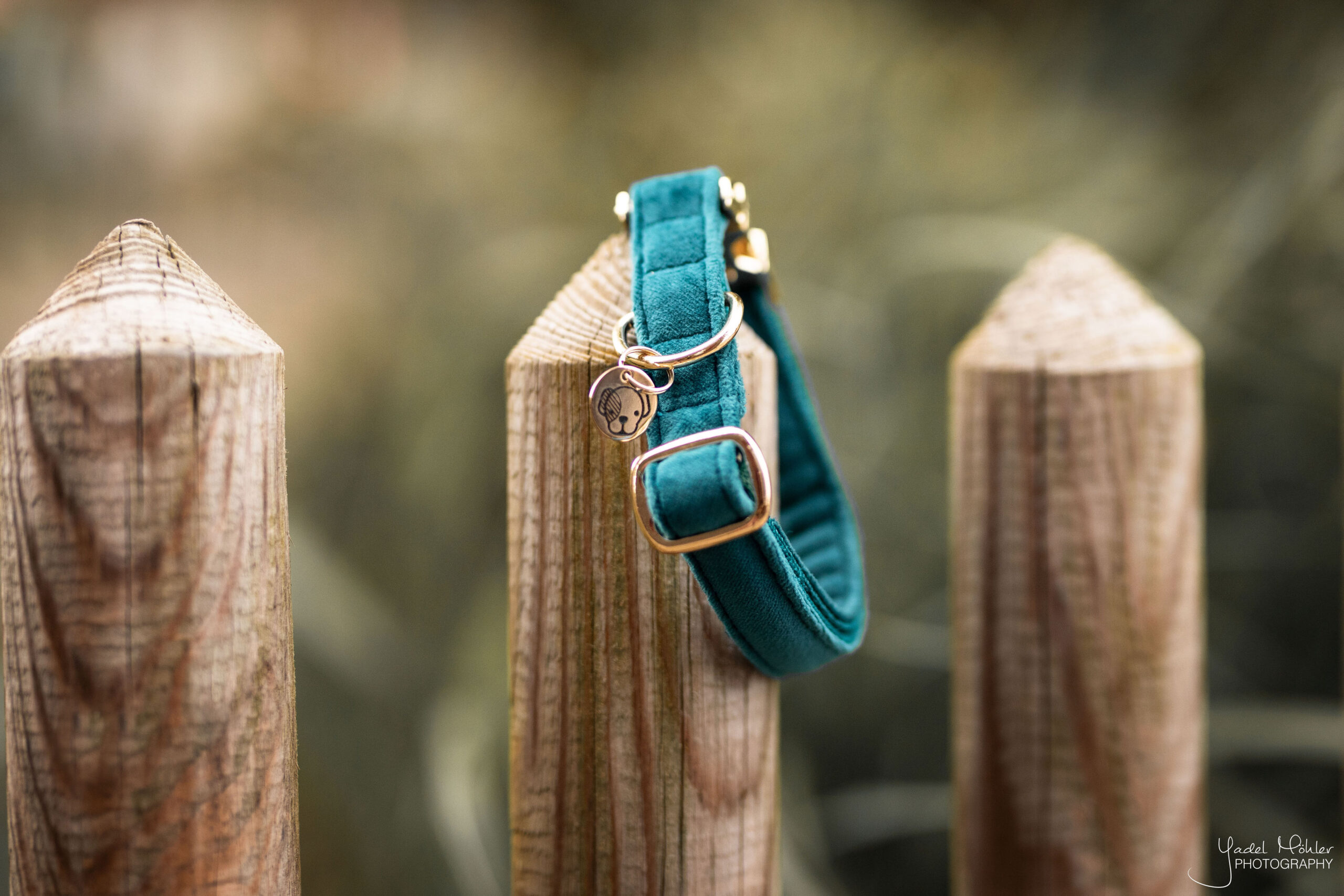 Kentucky-Dogwear-Hunde-Halsband-Velvet-Produktbild