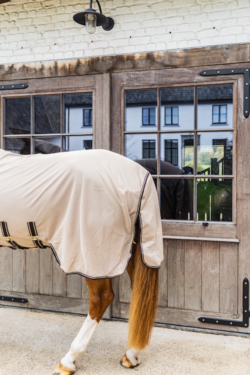 Kentucky-Horsewear-Fliegendecke-Comfort-braun-Schweif