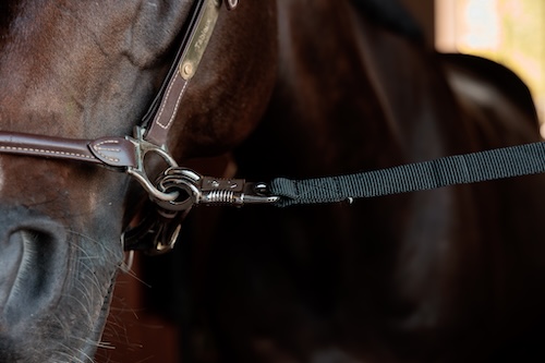 Kentucky-Horsewear-Sicherheit-Hängerstrick-&-Anbindeplatzstricke-Halfteranbringung