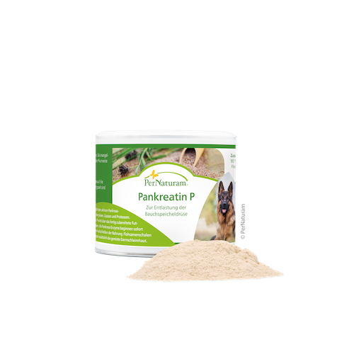 PerNaturam-Pankreatin-P