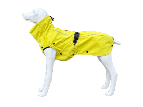 Stock-und-Stein-Rainmaster-Gelb