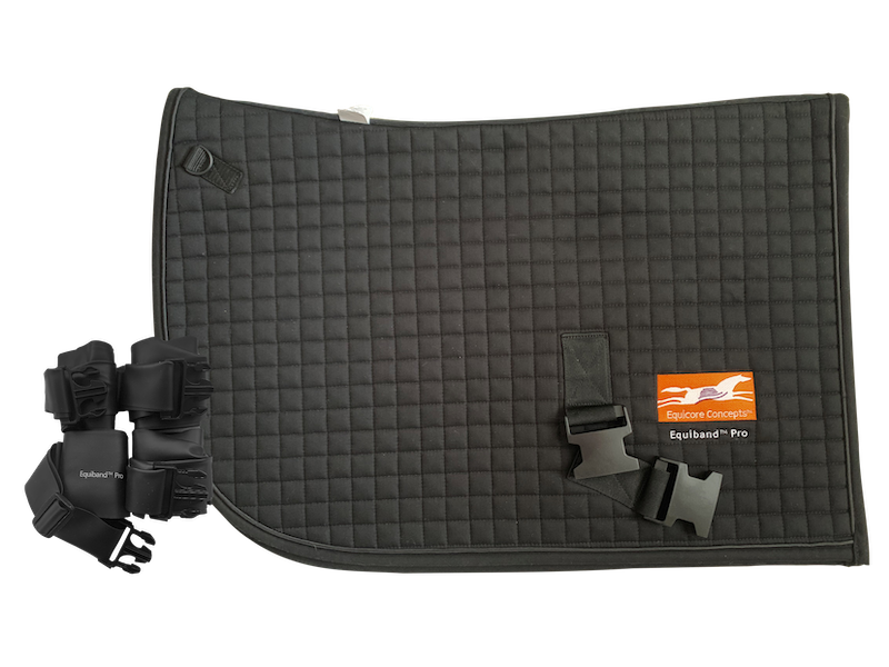 Equicore-Concept-Western-Equiband-Pro