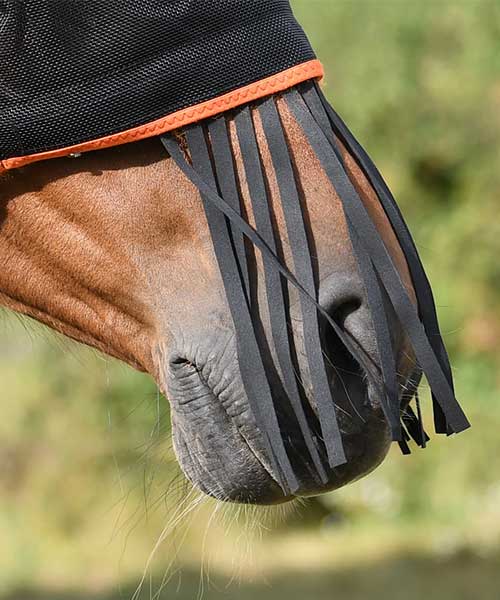 Equilibrium Field Relief Muzzle Fringe – Fliegenfransen für das Pferdemaul