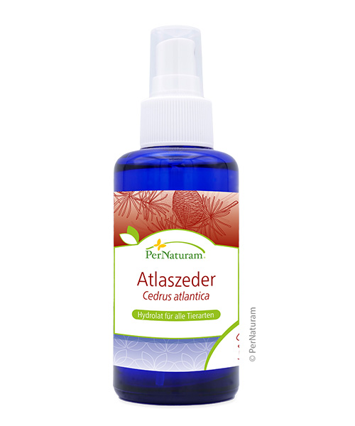 Atlaszeder Hydrolat 100ml – PerNaturam