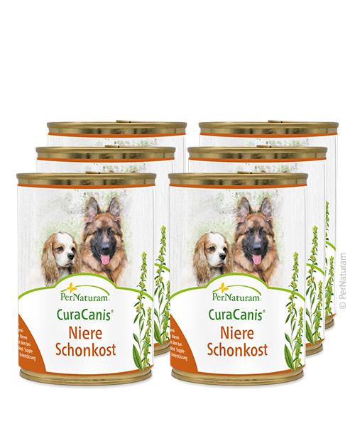 CuraCanis® Niere Schonkost 6 x 400 g PerNaturam