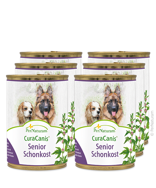 CuraCanis® Senior Schonkost 6 x 400 g PerNaturam