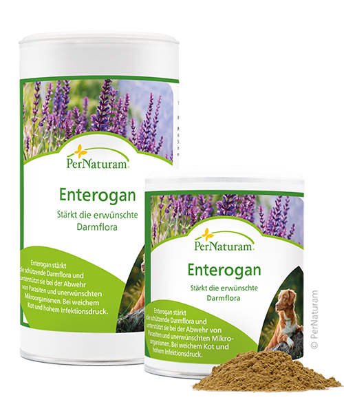 Enterogan-Dog - PerNaturam