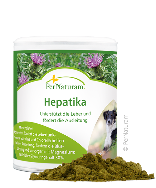 Hepatika 100 g - PerNaruram