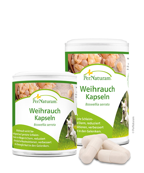 Weihrauch Kapseln Hund - PerNaturam